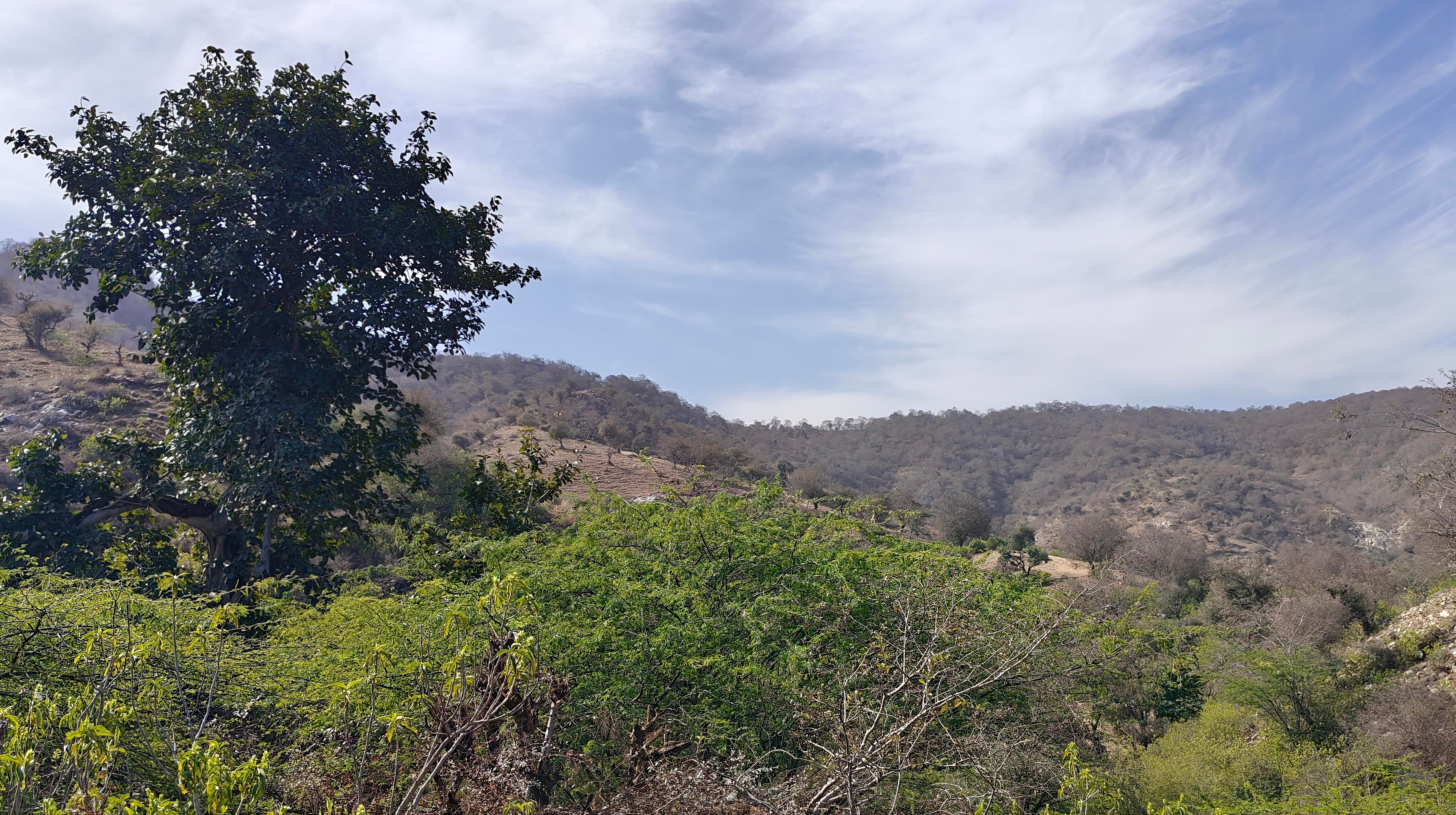 the-lost-kingdom — IMG_20260124_161756