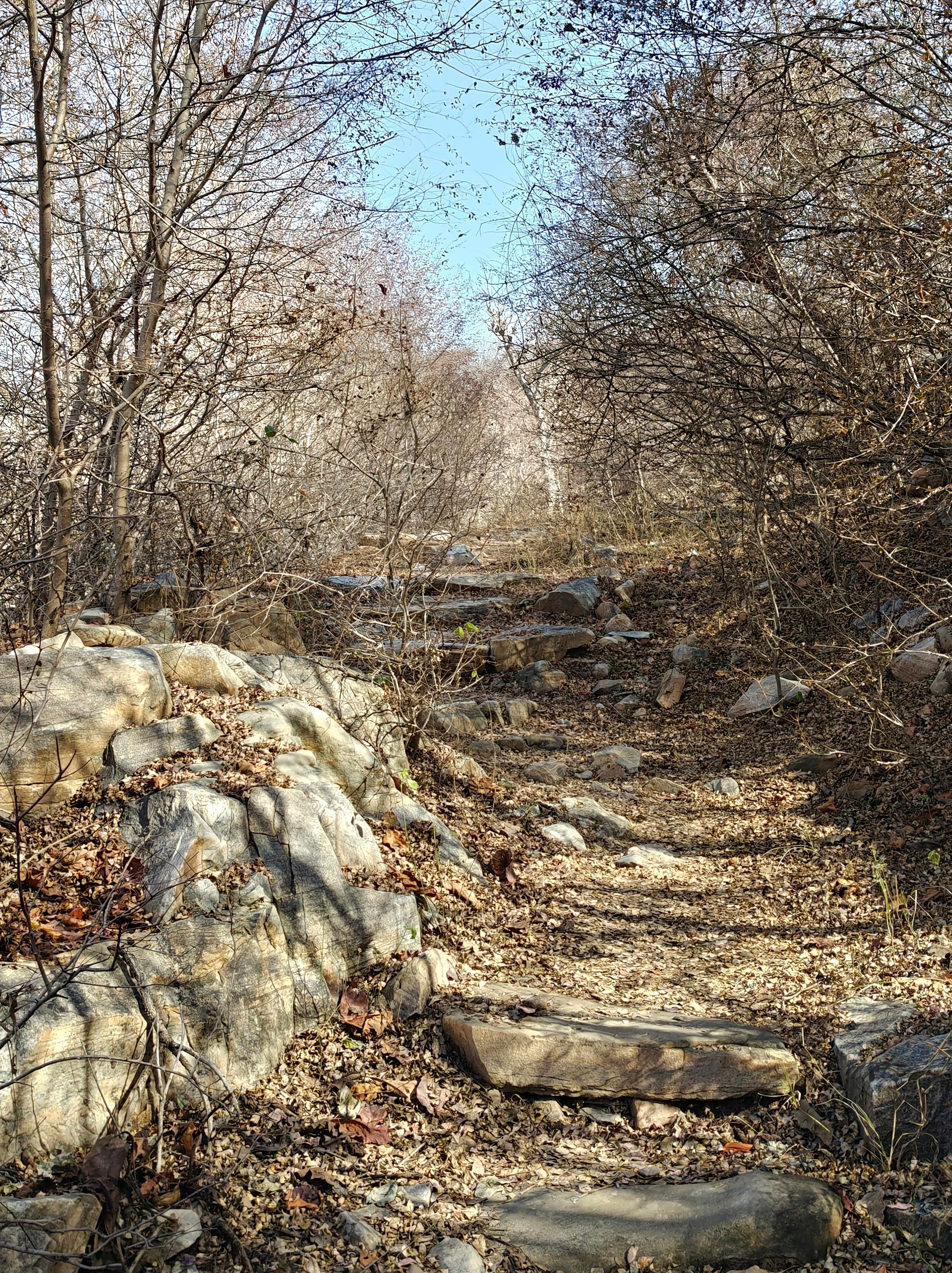 The Lost Kingdom