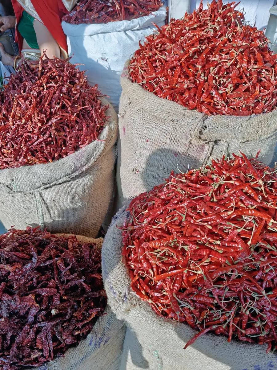 Sacks of dried red chillies at a Jaipur spice market