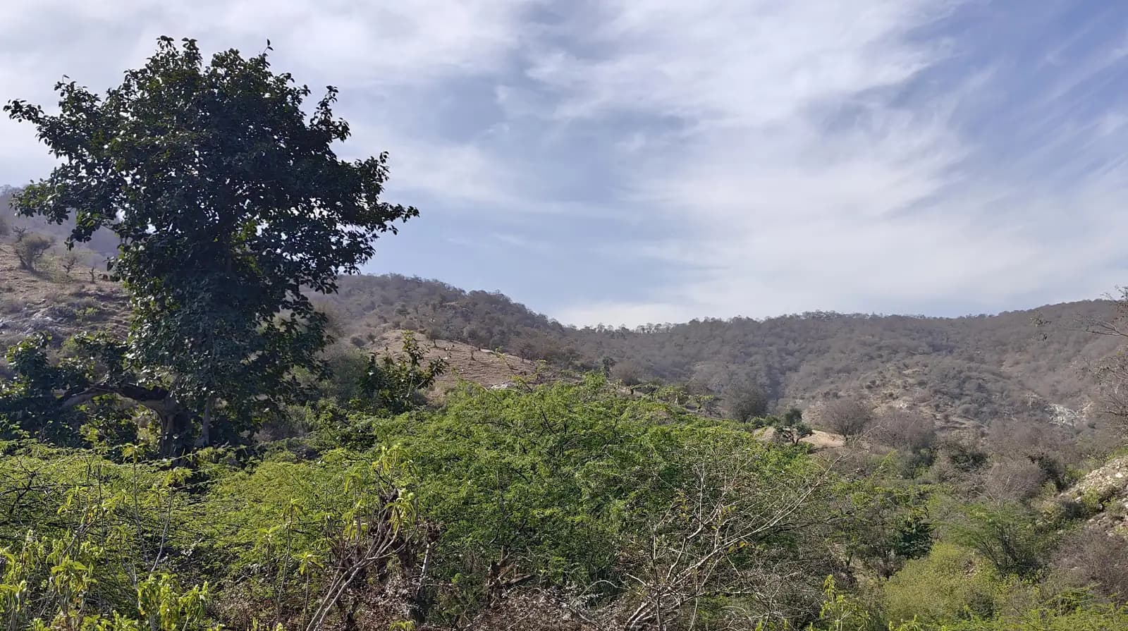 Aravalli hills around Amber valley